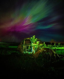 ZJS 9879 by James Shedden Photography