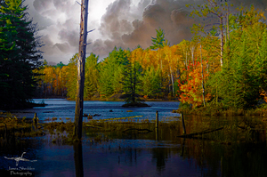  JBS4221 by James Shedden Photography