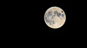 DSC 5705  by James Shedden Photography