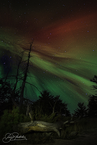 JBS 5620  by James Shedden Photography