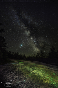 JBS 3847 by James Shedden Photography