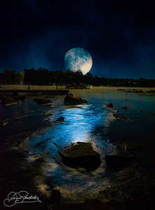 JBS 4708  by James Shedden Photography