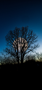 JBS 0046  by James Shedden Photography