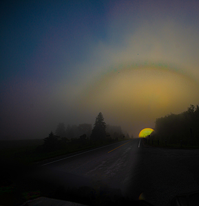 JBS 2526  by James Shedden Photography