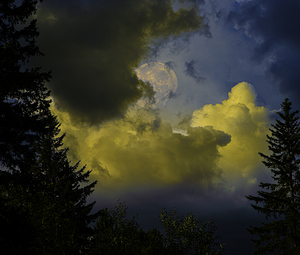 JBS 2966 by James Shedden Photography