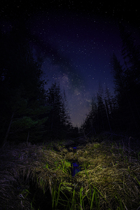 JBS 4835  by James Shedden Photography