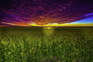 JBS 3554  by James Shedden Photography