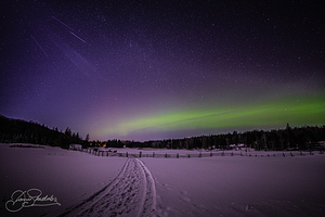 DSC 4325 by James Shedden Photography