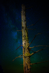 JBS 0996 by James Shedden Photography