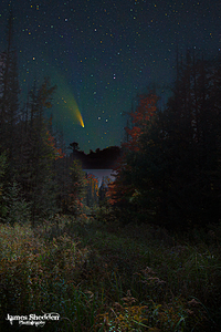 DSC 5763  by James Shedden Photography