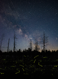 ff5 2 by James Shedden Photography