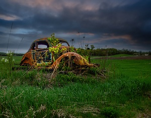 ZJS 9866 by James Shedden Photography