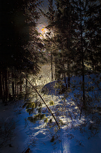 JBS 8757  by James Shedden Photography