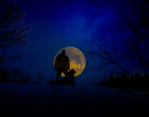 JBS 9674  by James Shedden Photography