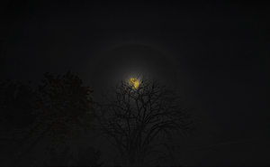 JBS 6094 by James Shedden Photography