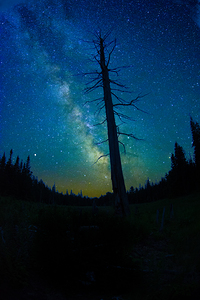 CRC 1662 by James Shedden Photography