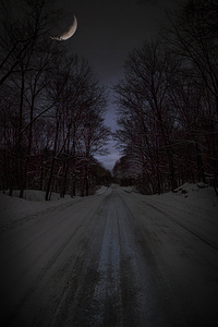 ZJS 6317  by James Shedden Photography