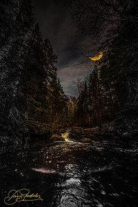 JBS 0868  by James Shedden Photography