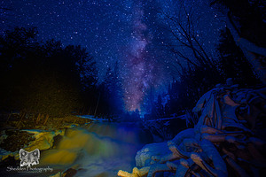 JBS 0712 2  by James Shedden Photography