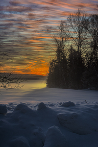 JBS 4142  by James Shedden Photography