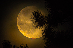 JBS 9574  by James Shedden Photography