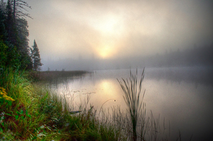 JBS 2558 by James Shedden Photography