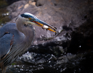 JBS 3493 2 by James Shedden Photography