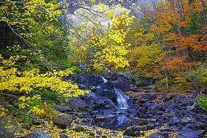 ZJS 5787 by James Shedden Photography