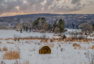 ZJS 9136  by James Shedden Photography