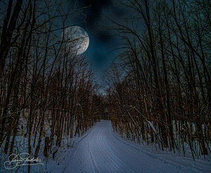 DSC 4175  by James Shedden Photography