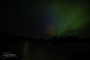 DSC 4377  by James Shedden Photography