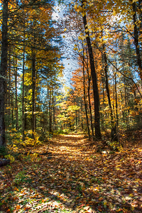 JBS 7125 by James Shedden Photography