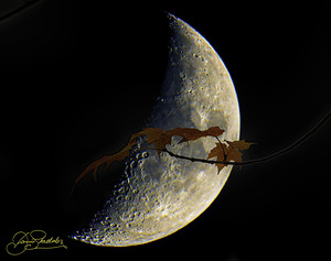 JBS 3686  by James Shedden Photography