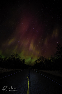 DSC 4394 by James Shedden Photography