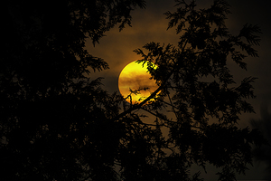 JBS 3573  by James Shedden Photography