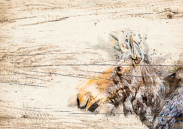 Cow Moose Abstract Print