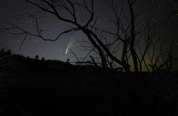 JBS 2415 comet Print