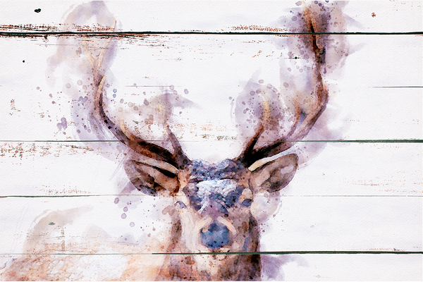 elk2 wc Print