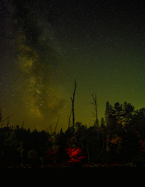 2222 Fall River Print