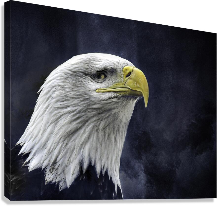 JBS 1282  Canvas Print