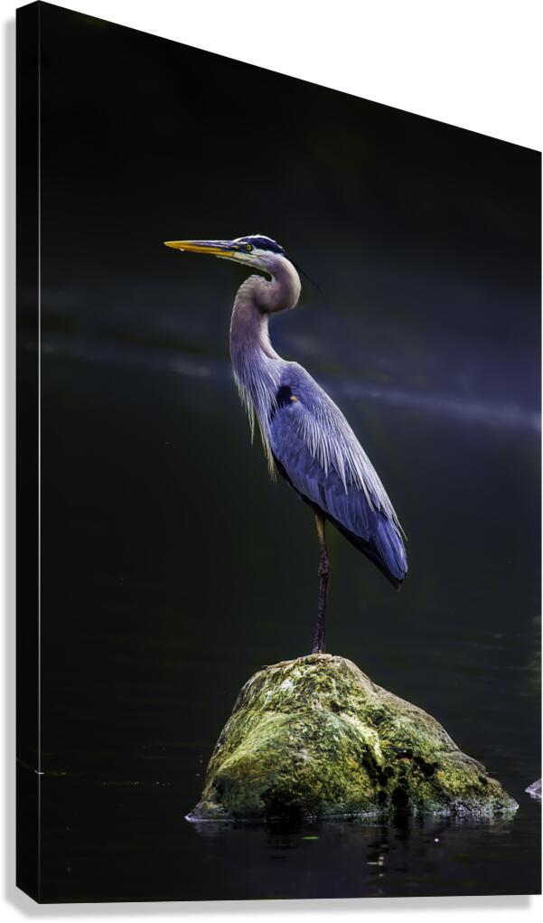 JBS 1706 2 Canvas Print