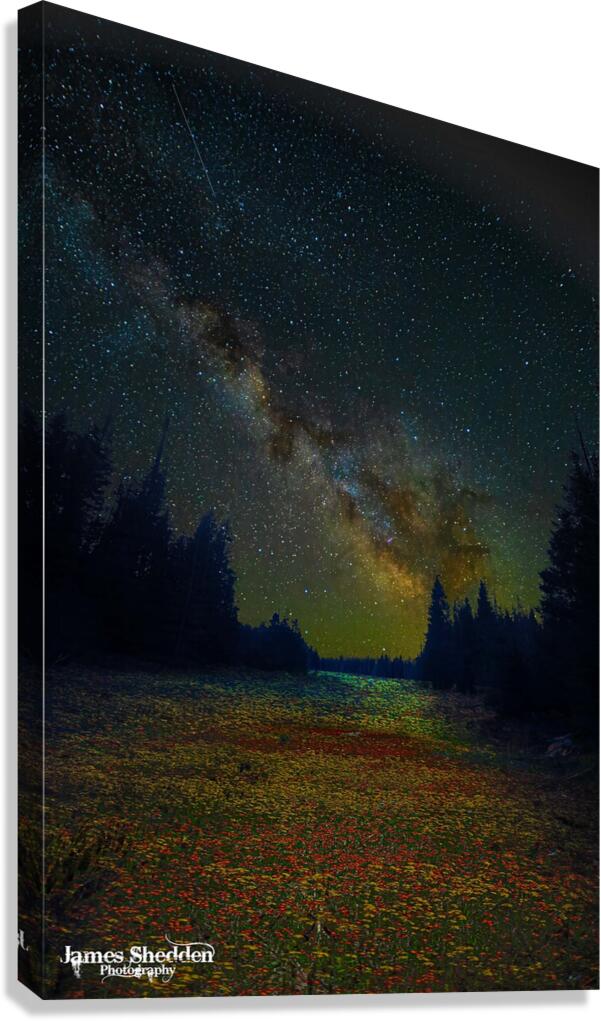 JBS 4834  Canvas Print