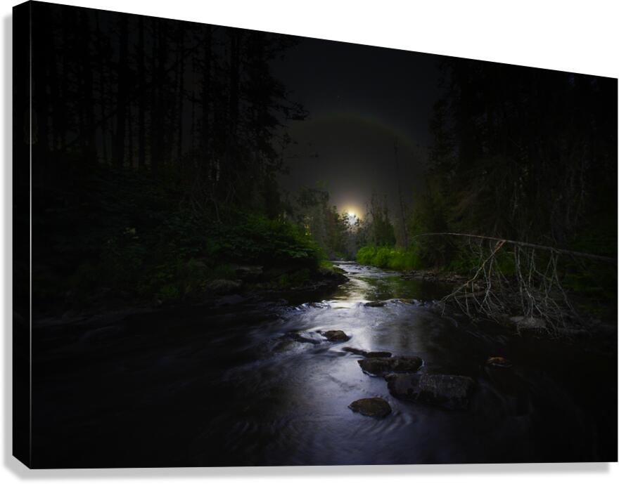 JBS 2058  Canvas Print