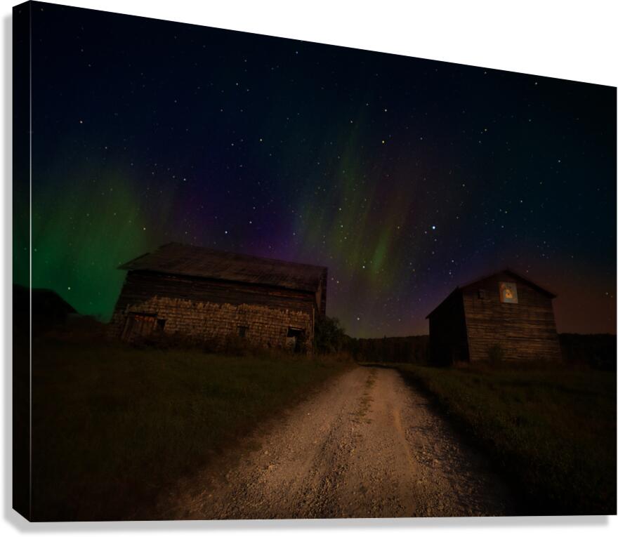 ZJS 8347  Canvas Print