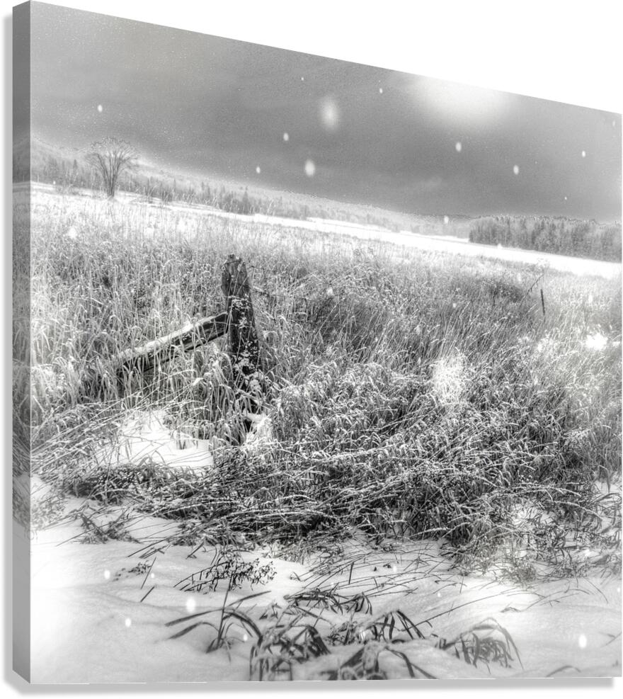 JBS 4080  Canvas Print