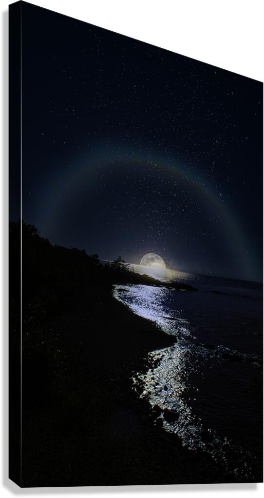 JBS 3166  Canvas Print