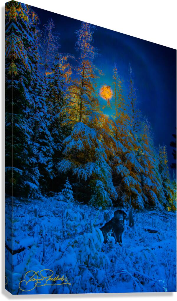 JBS 4968  Canvas Print