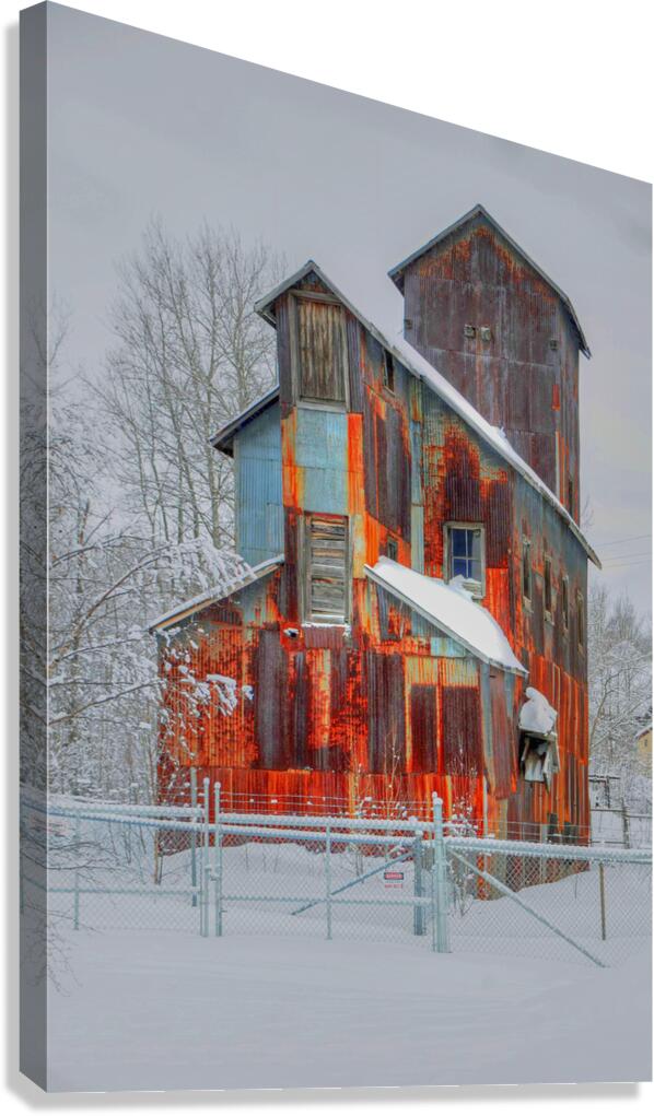 DSC 5683  Canvas Print