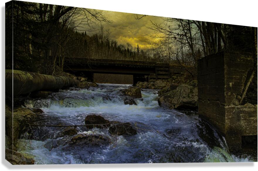 JBS 9699  Canvas Print