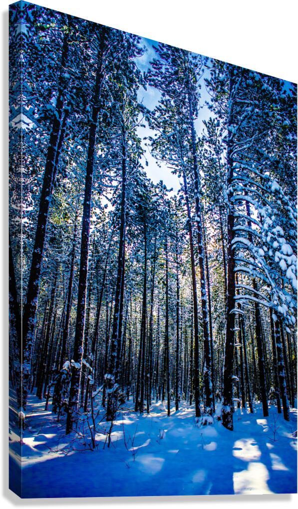 JBS 4409 Canvas Print